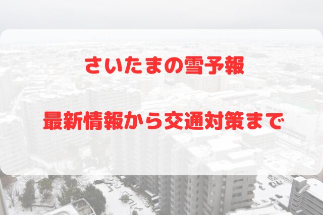 埼玉　雪